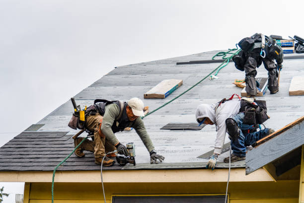 Professional Gutter Installation technician working in Tennessee, IL
